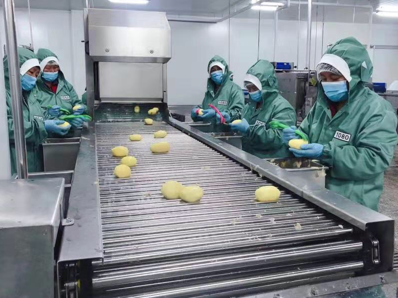 安徽淮北 延伸果蔬加工產業鏈，出口罐頭生產忙，激活食用農產品批發新動能