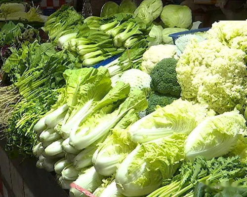 大瀝4月食用農(nóng)產(chǎn)品快檢結(jié)果出爐 源頭把關(guān)，守護(hù)“舌尖安全”